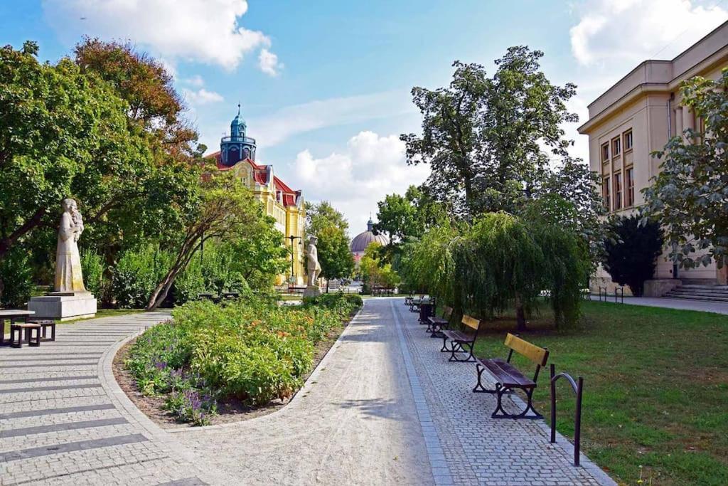 Апартаменты Kamienica Bydgoska Быдгощ Экстерьер фото